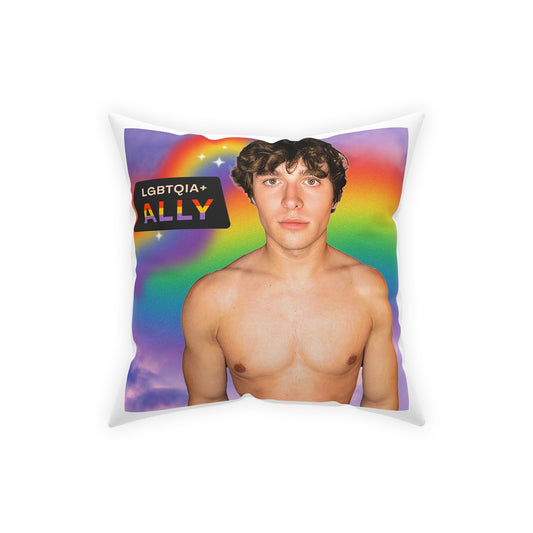 Carson Ally Pillow